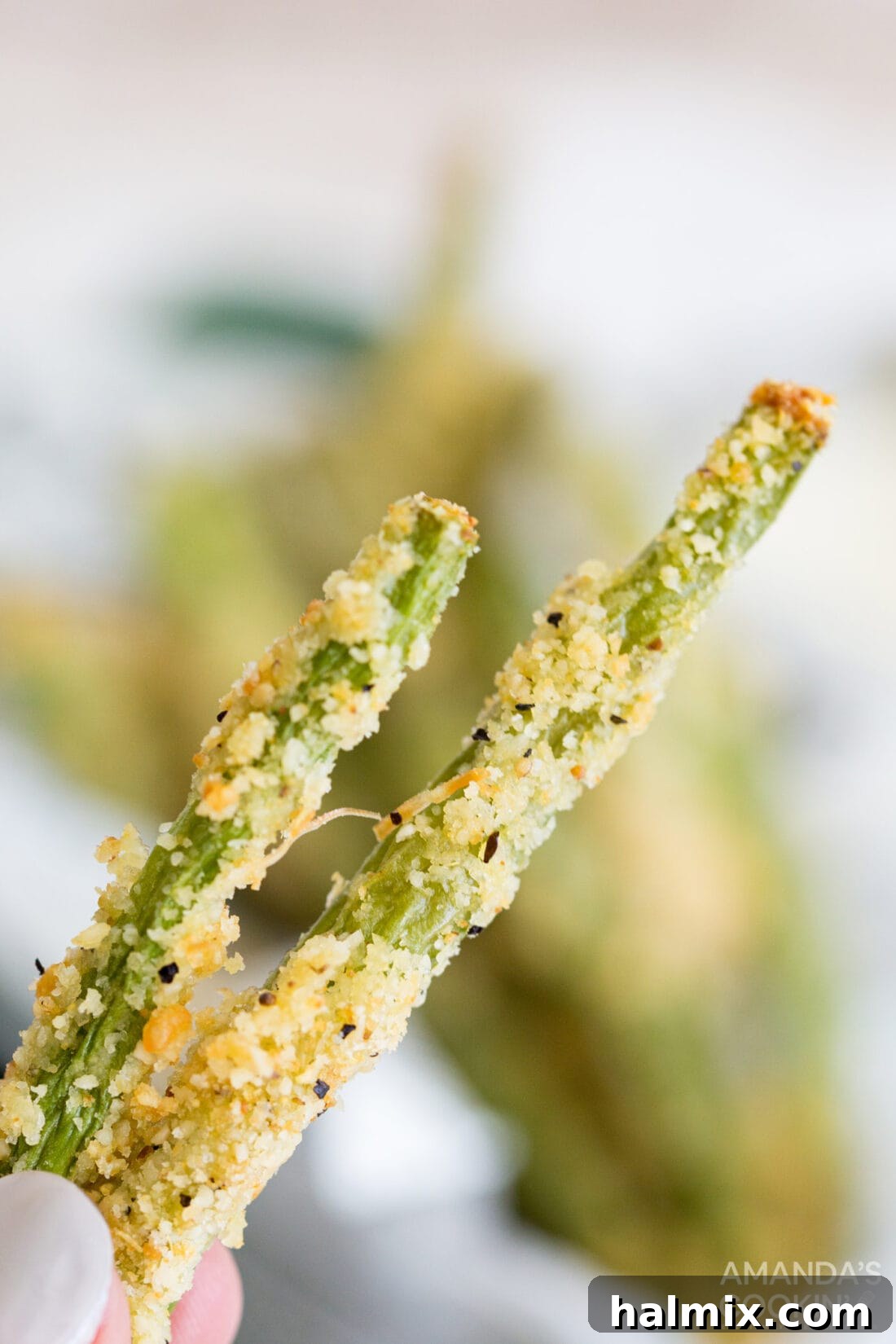 Air Fryer Green Bean Snaps 9 holding Air Fryer Green Bean Fries