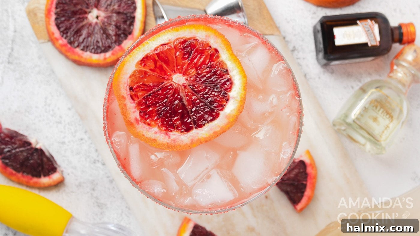 Crimson Sunset Margarita 5 Finished blood orange margarita with a sugared rim and blood orange garnish.