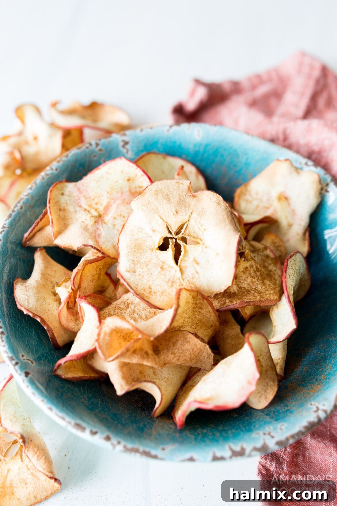 bowl of apple chips