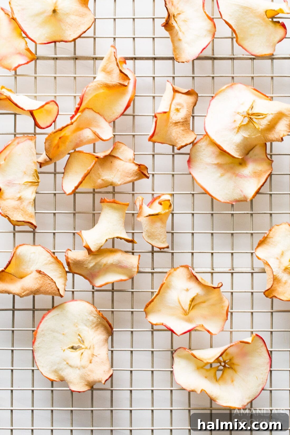 air fryer apple chips on a wire rack 