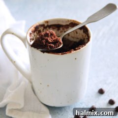 A perfectly baked chocolate mug cake, ready for a delicious treat.