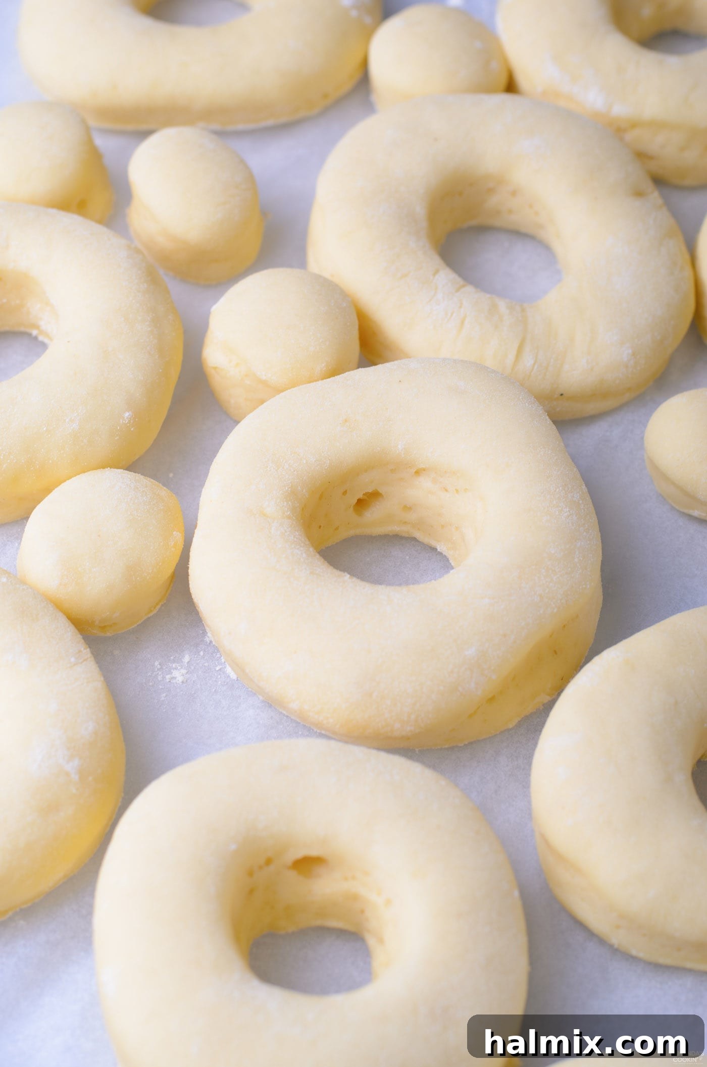Multiple donut rings and smaller donut holes arranged on a baking sheet, covered and proofing.