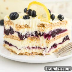 Zesty Lemon Blueberry No-Bake Delight 14 Lemon Blueberry Icebox Cake
