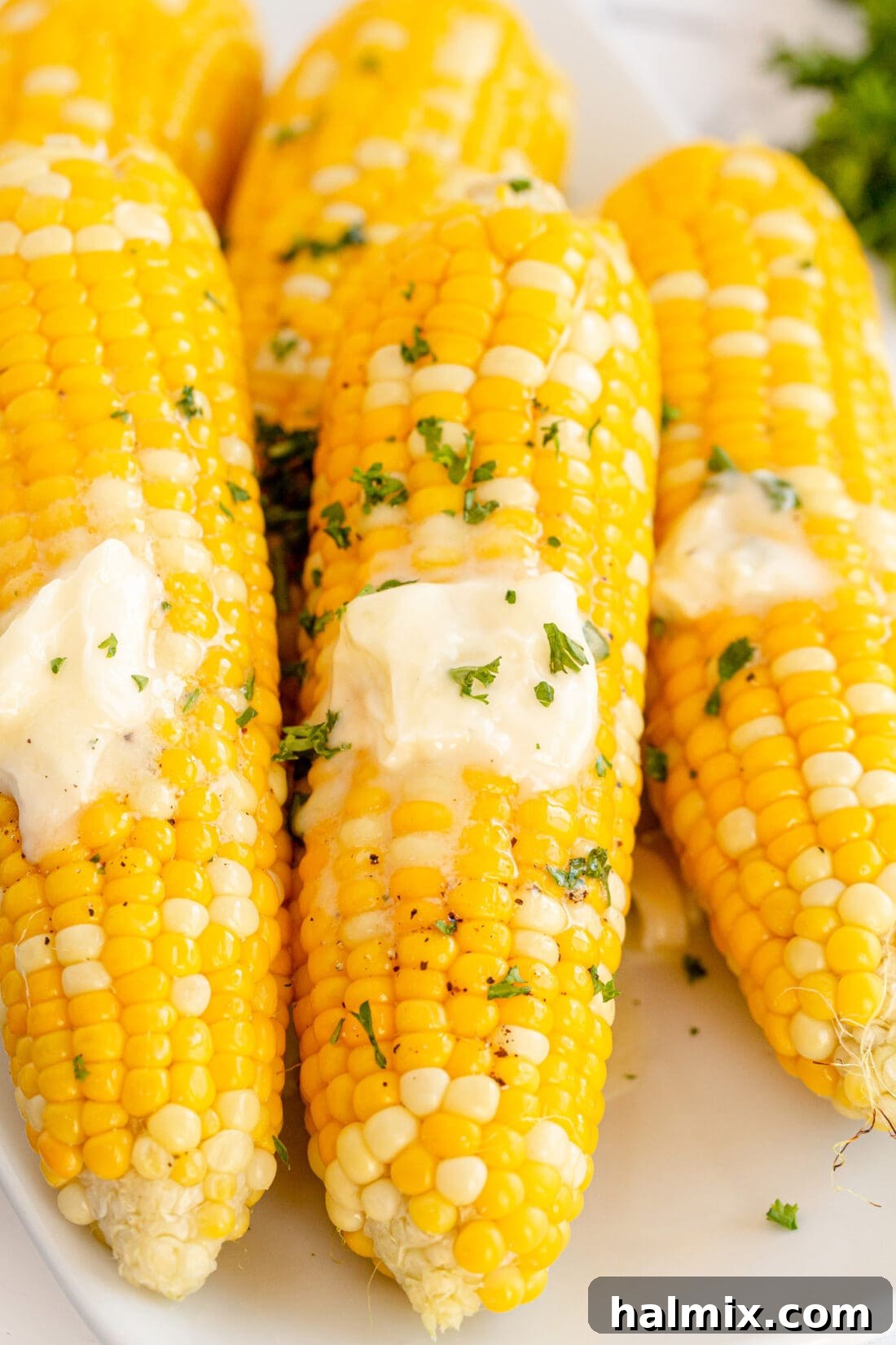 Grilled Corn on the Cob with butter and parsley, ready to eat