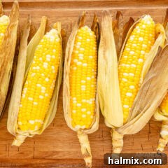 corn on the cob with husks on, ready to be cooked