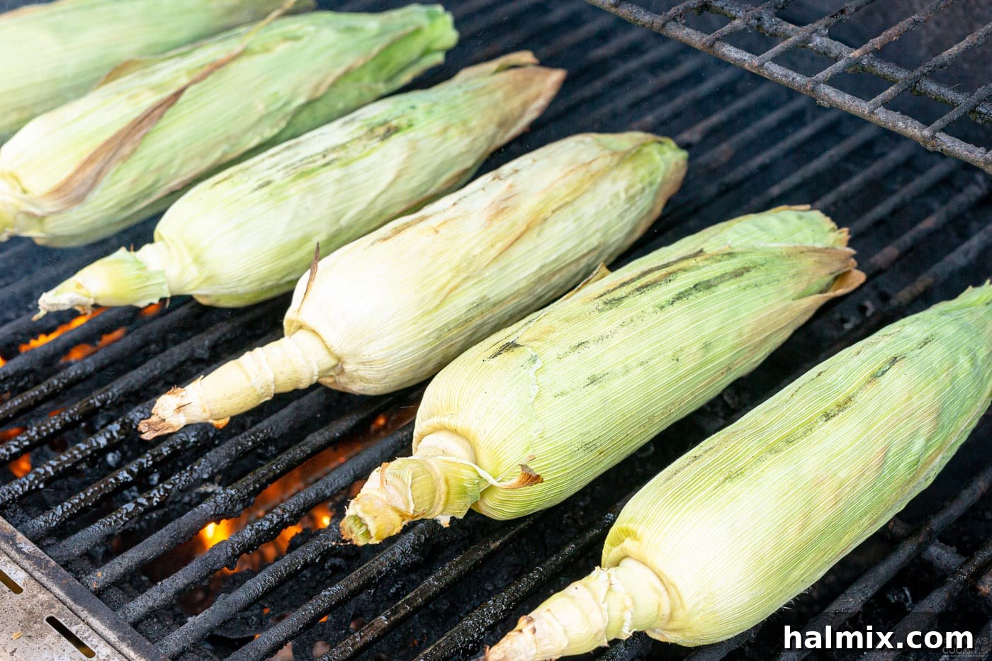 corn on the grill with husks on