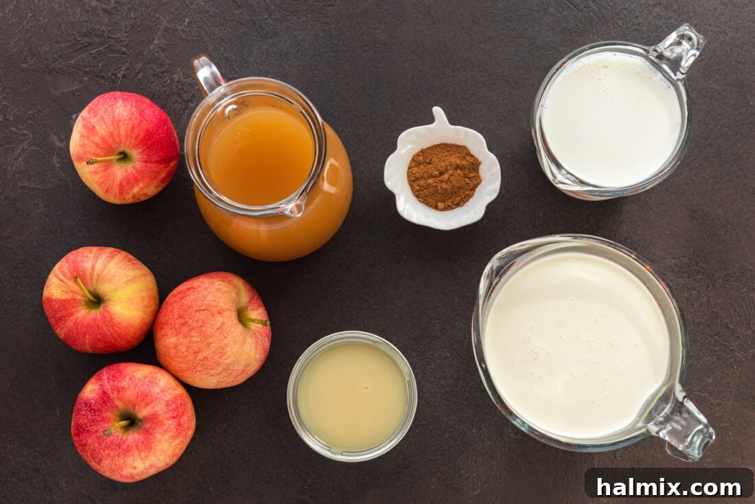 An array of fresh ingredients neatly arranged for making Apple Cider Ice Cream. Visible are bottles of apple cider, cartons of heavy cream and milk, a can of sweetened condensed milk, and a small bowl of ground cinnamon.