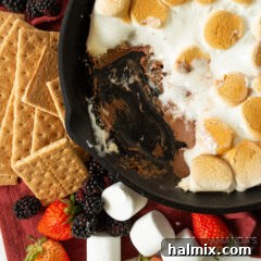 S'mores Dip recipe image