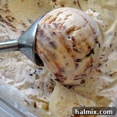 A close up photo of an ice cream scoop scooping Nutella swirl cheesecake ice cream.
