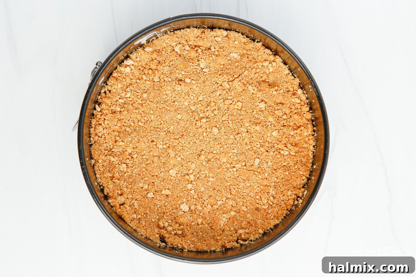 graham cracker crust in springform pan