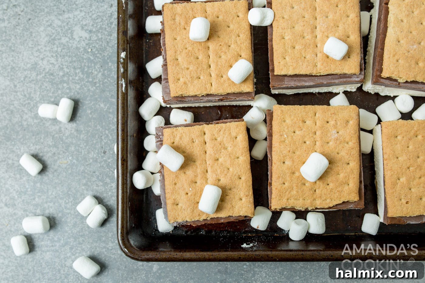 Frosty S'mores 10 frozen smores with marshmallows