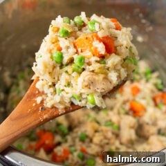 Easy Instant Pot Chicken and Rice 11 Instant Pot Chicken and Rice