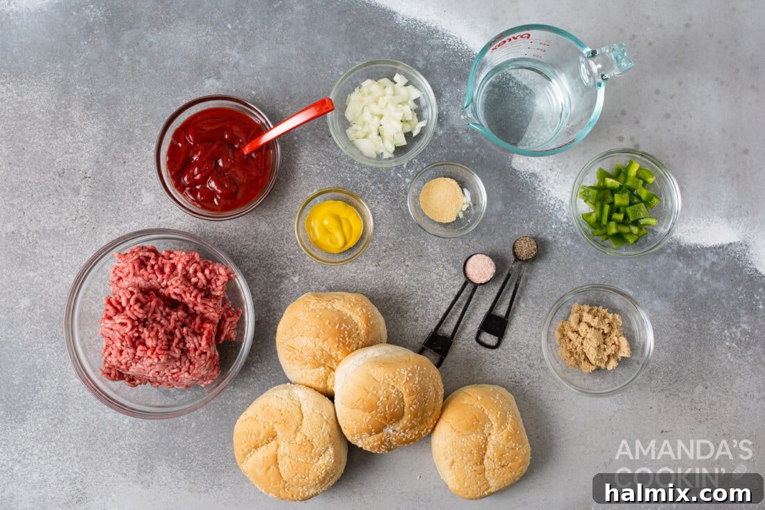 Lightning-Fast Instant Pot Sloppy Joes 4 ingredients needed to make Instant Pot Sloppy Joe, neatly arranged