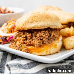 Instant Pot Sloppy Joe