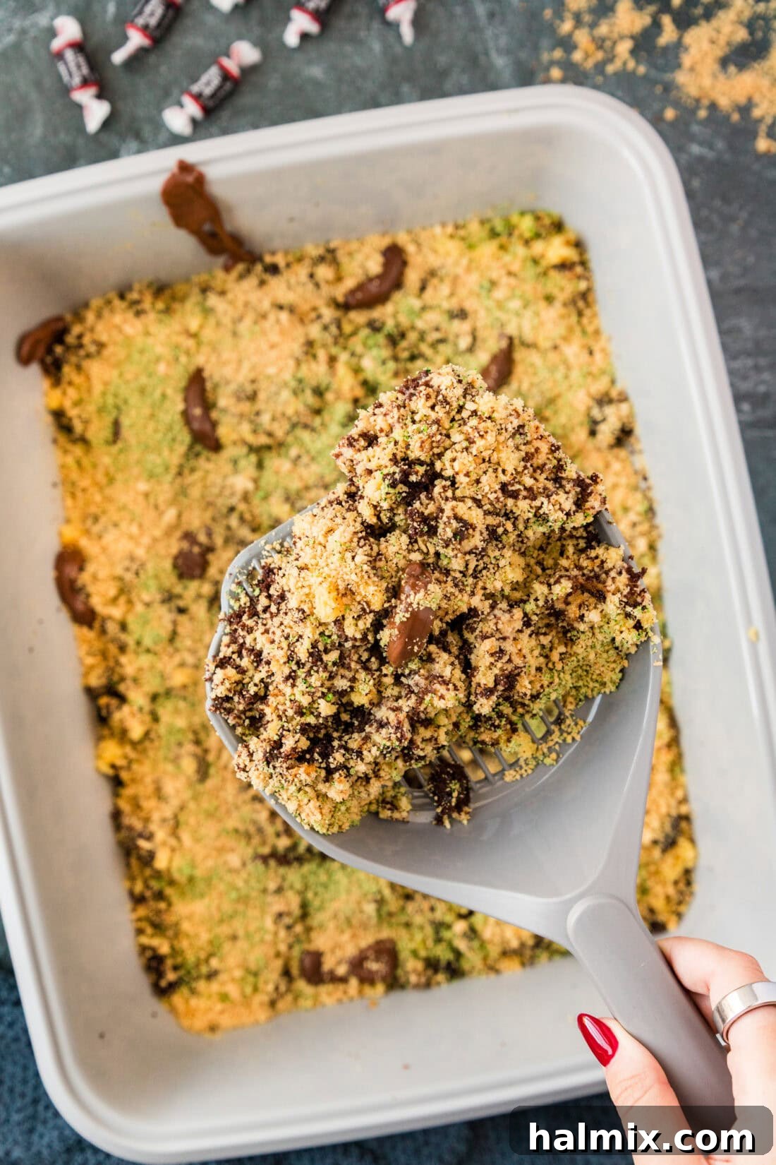 A full view of the Kitty Litter Cake with a scoop full of cake hovering above, ready to be served.
