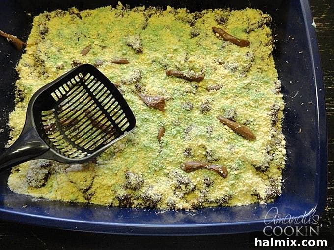 An overhead photo of the original Kitty Litter Cake, showcasing its popular and realistic appearance.