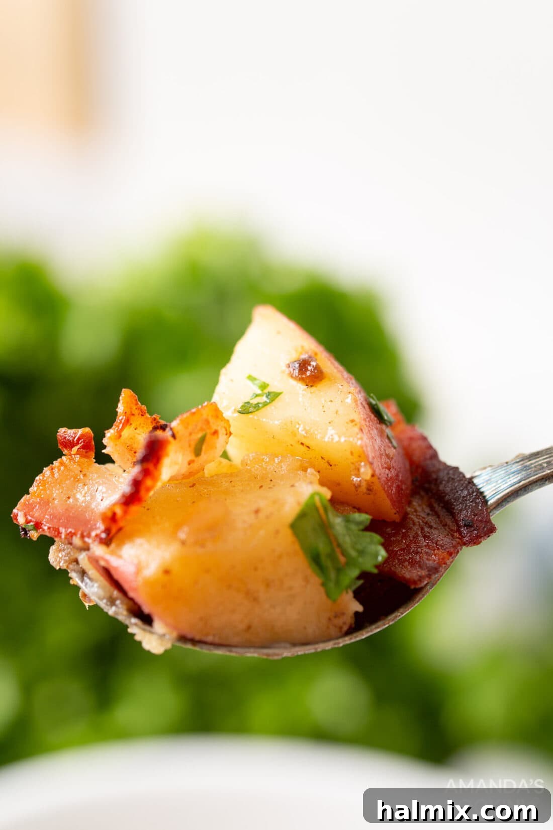 Tangy Bacon Potato Salad 6 A single serving of German Potato Salad on a spoon, showing the perfectly cooked potatoes, crispy bacon, and finely diced red onions, ready to be enjoyed.