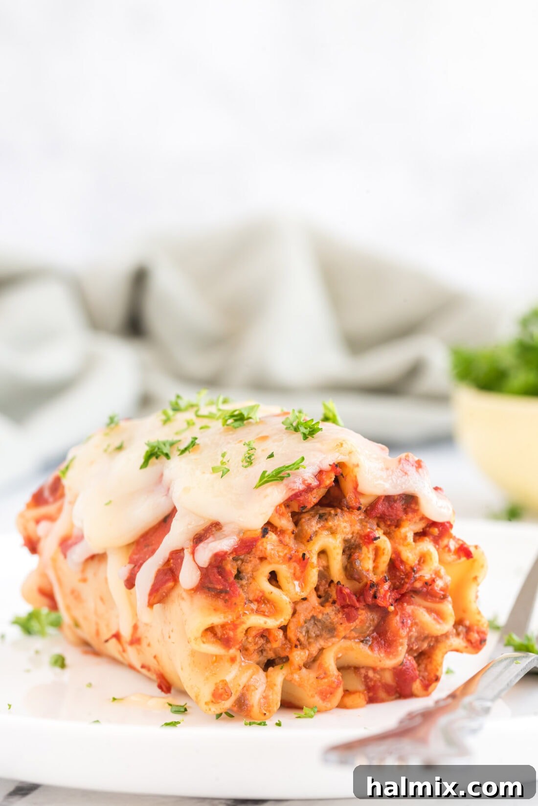 Savory Lasagna Spirals 2 Lasagna Roll Up on a plate