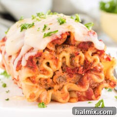Savory Lasagna Spirals 6 Lasagna Roll Ups