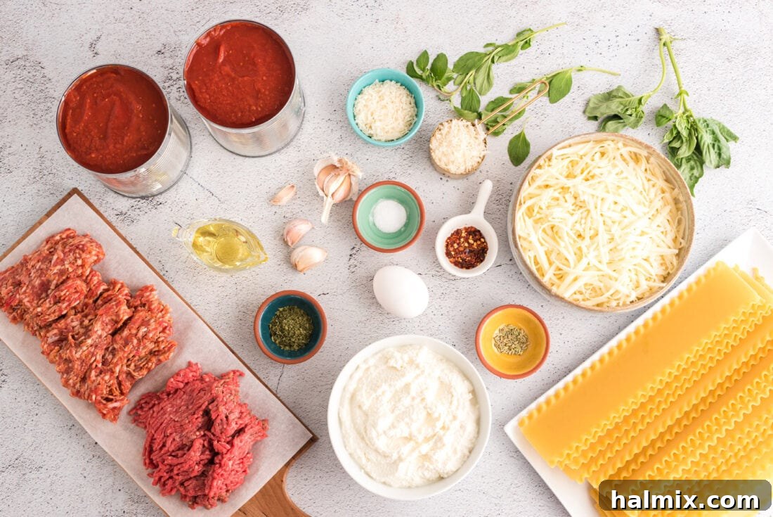 Savory Lasagna Spirals 4 Lasagna Roll Ups ingredients