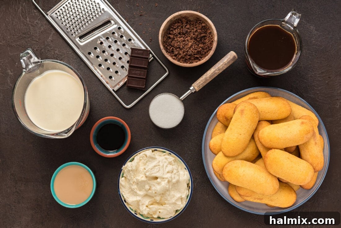 A selection of ingredients laid out on a marble surface, including mascarpone cheese, Bailey's Irish Cream, ladyfingers, and espresso.