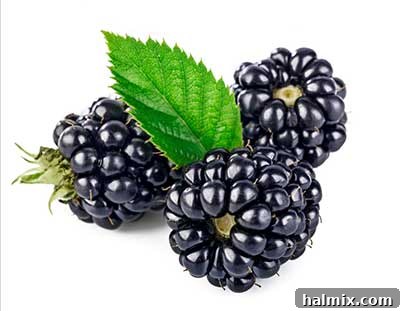 A cluster of ripe, dark blackberries on a stem with green leaves.