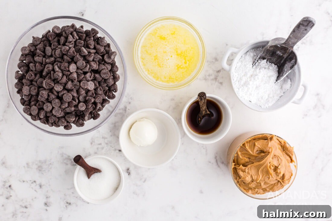 All the necessary ingredients laid out on a clean surface for making delicious chocolate peanut butter balls.