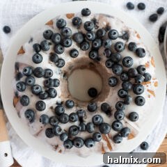 overhead photo of Blueberry Bundt Cake
