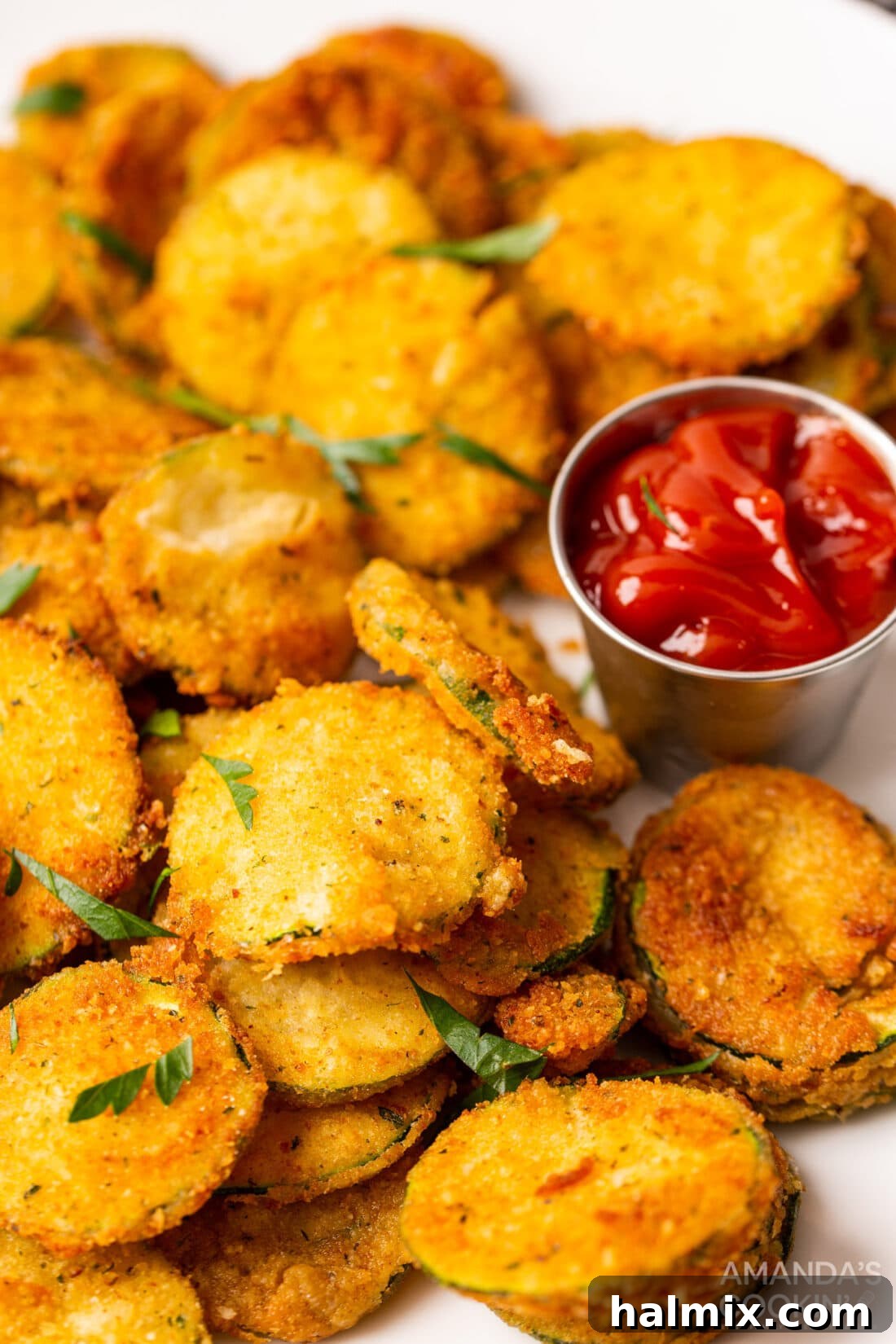 Crispy Fried Zucchini served with a side of ketchup