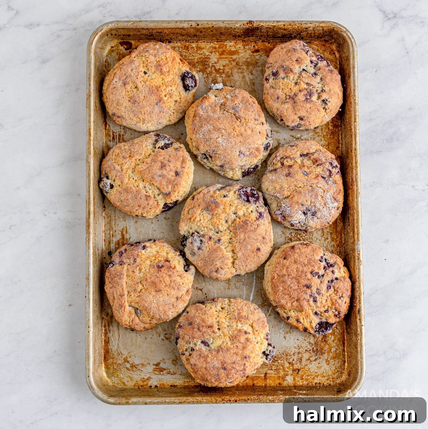 Divine Blackberry Scones 11 blackberry scones baking on a sheet in the oven