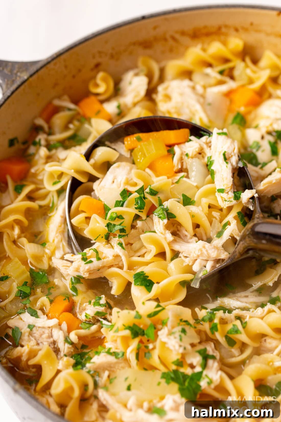 Golden Noodle Chicken Comfort 2 Large pot filled with simmering homemade Chicken Noodle Soup, featuring shredded chicken, wide egg noodles, carrots, and celery, garnished with fresh parsley.