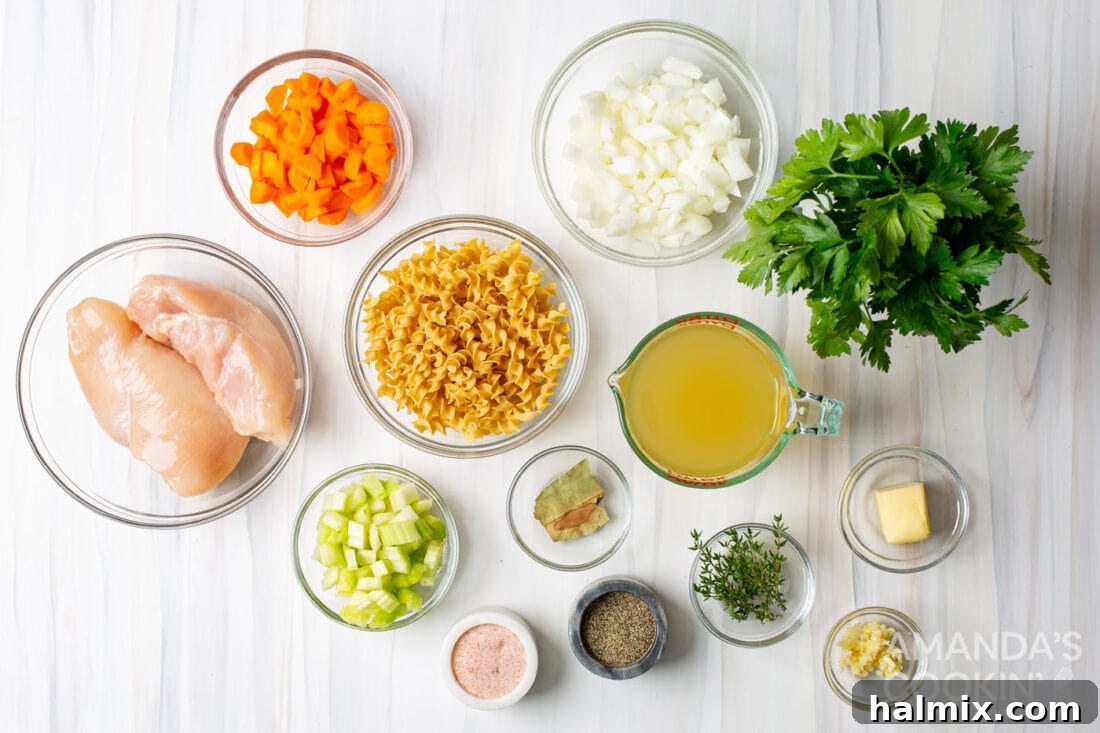 Golden Noodle Chicken Comfort 4 A flat lay of all the fresh ingredients needed for chicken noodle soup, including chicken breasts, carrots, celery, onion, egg noodles, herbs, and butter.