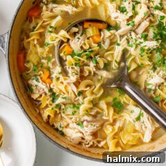 Golden Noodle Chicken Comfort 9 pot of Chicken Noodle Soup