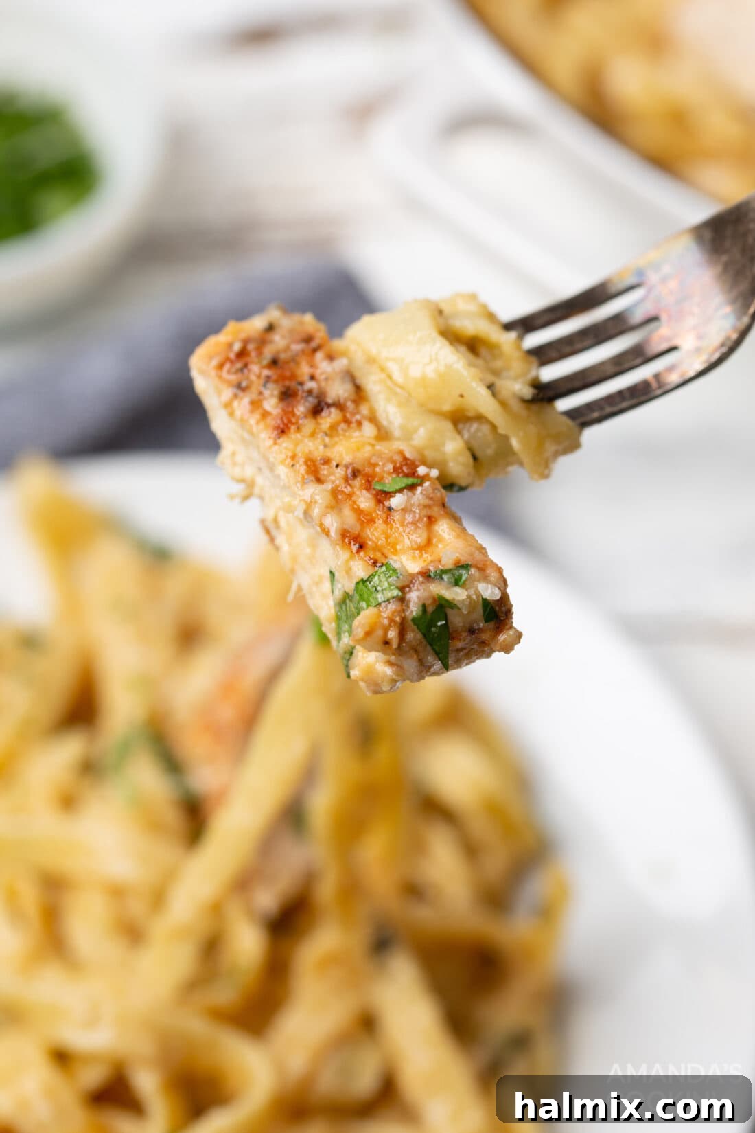 Chicken Alfredo on a fork
