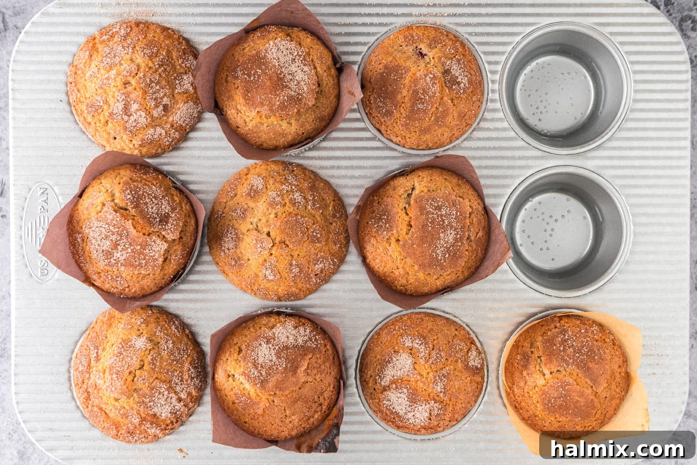 Golden Sugar Plum Muffins 17 Freshly baked plum muffins, perfectly golden and topped with cinnamon sugar, cooling in a muffin pan.