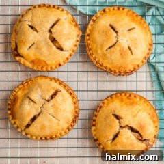 Four Apple Hand Pies on a wire rack, perfectly golden and ready to eat.