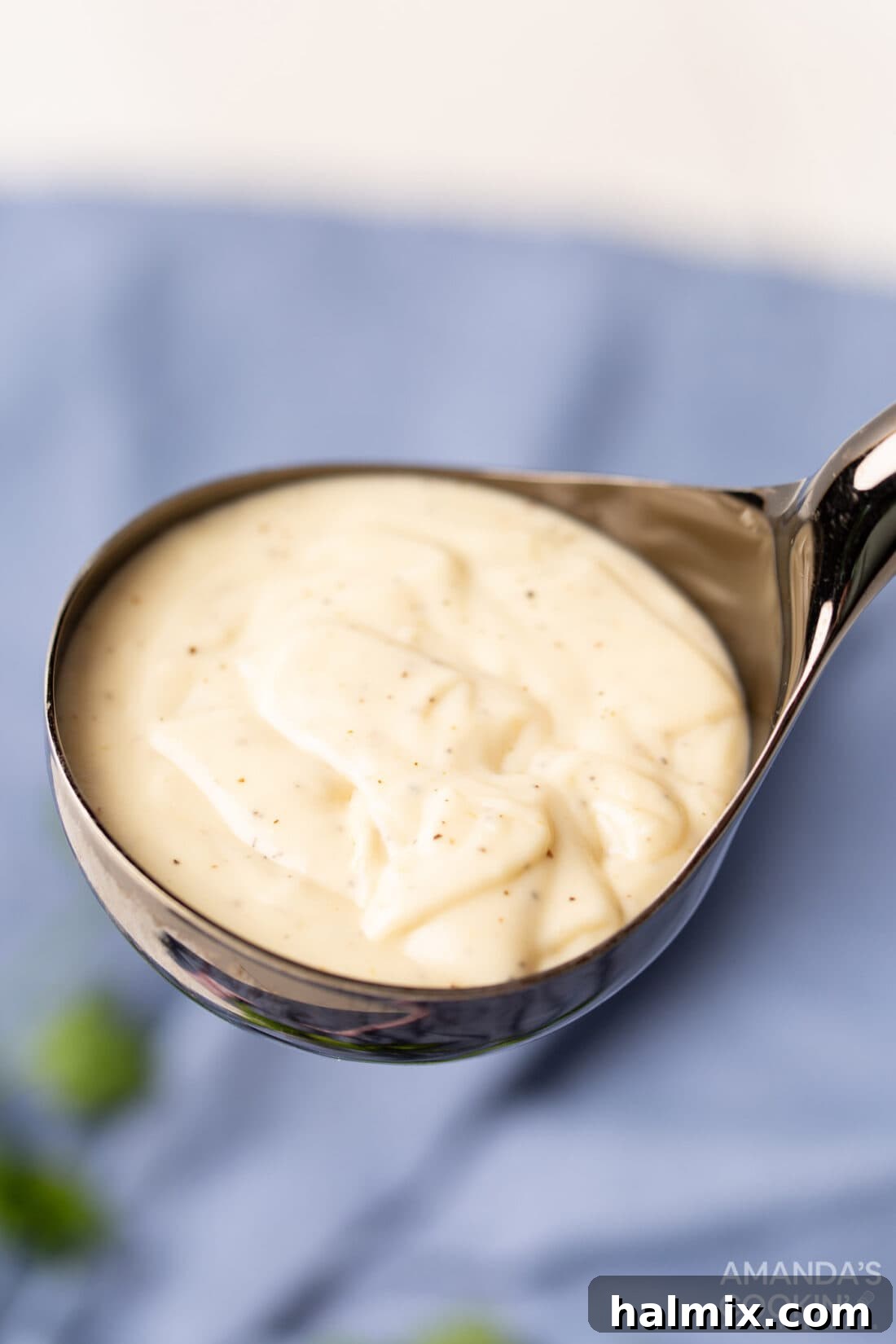 Velvety Creamy Chicken Soup 8 A ladle scooping out creamy homemade cream of chicken soup from a jar.