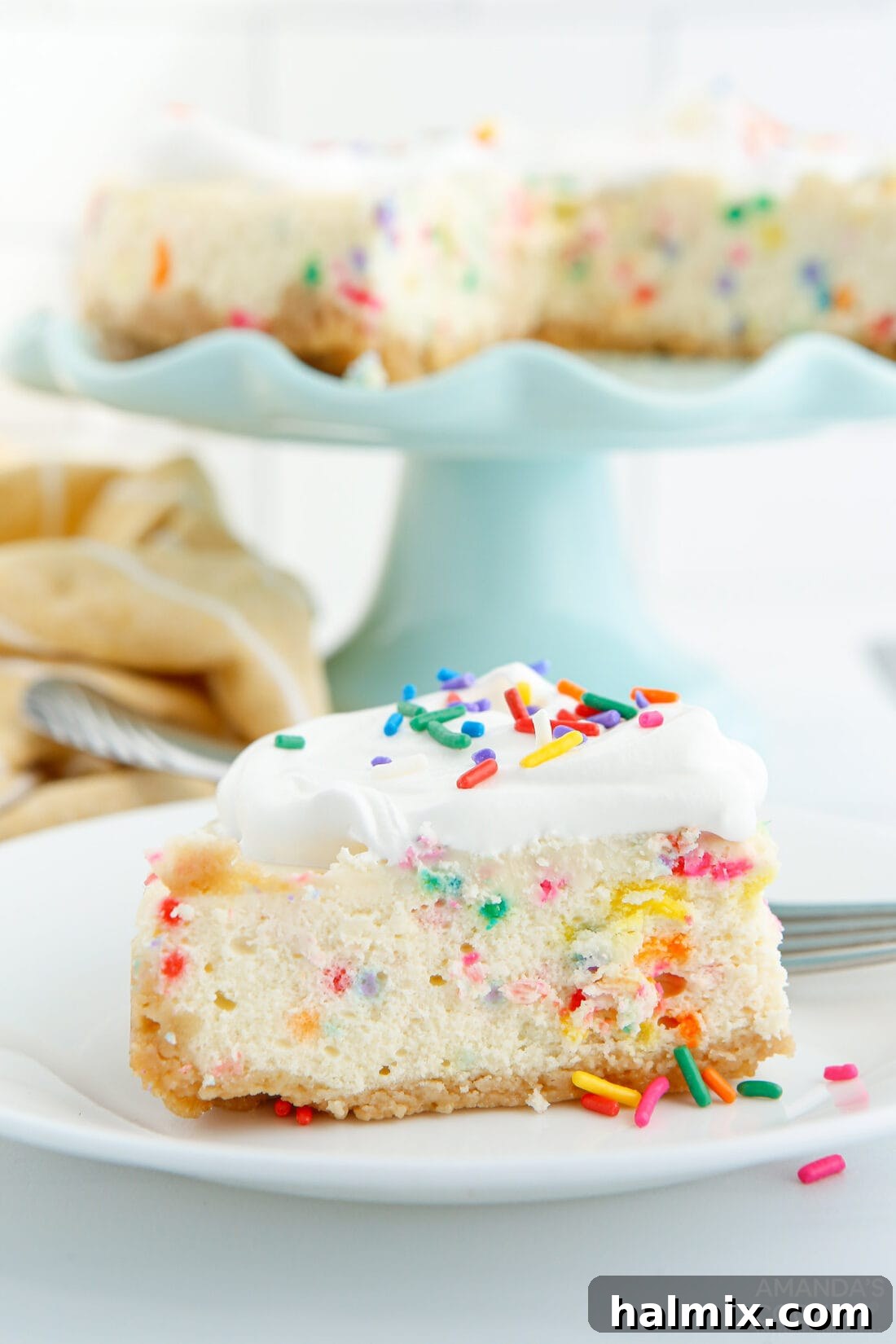 A vibrant slice of Instant Pot Funfetti Cheesecake adorned with colorful sprinkles and a cookie crust.