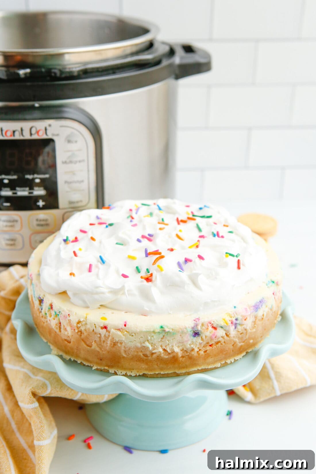 The whole Instant Pot Funfetti Cheesecake, showcasing its festive sprinkles and smooth texture before serving.