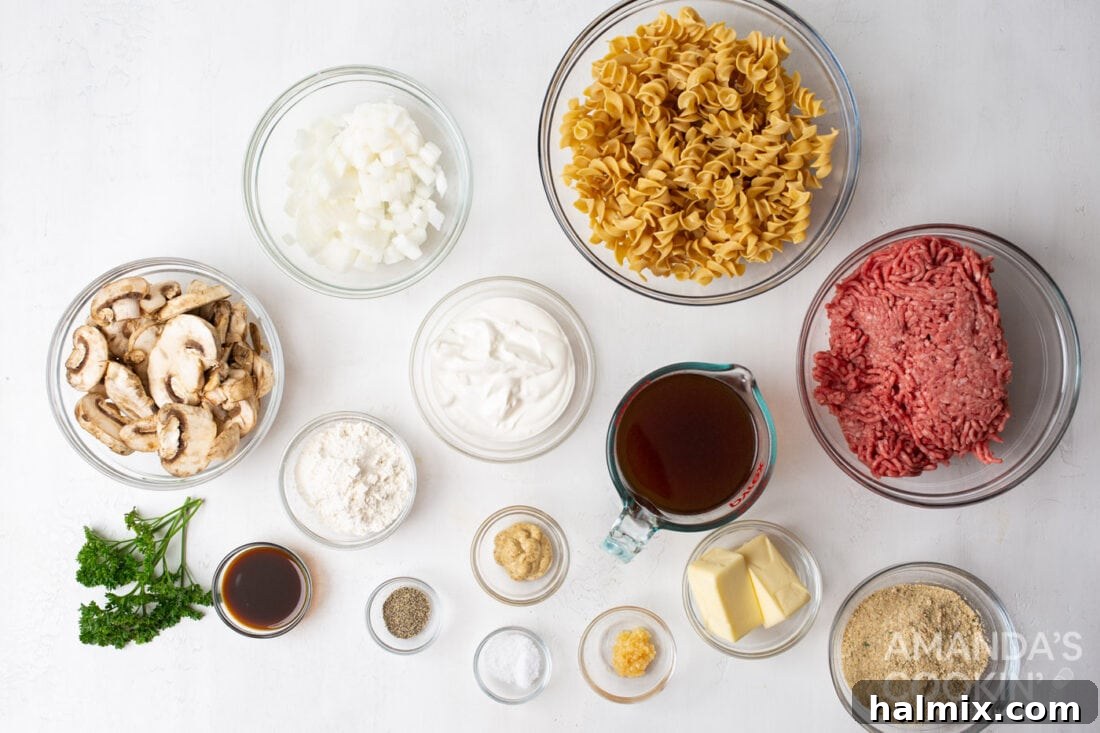 Creamy Beef Noodle Bake 4 A flat lay photograph showcasing all the fresh ingredients needed for Beef Stroganoff Casserole, including ground beef, mushrooms, onions, egg noodles, and various sauce components.