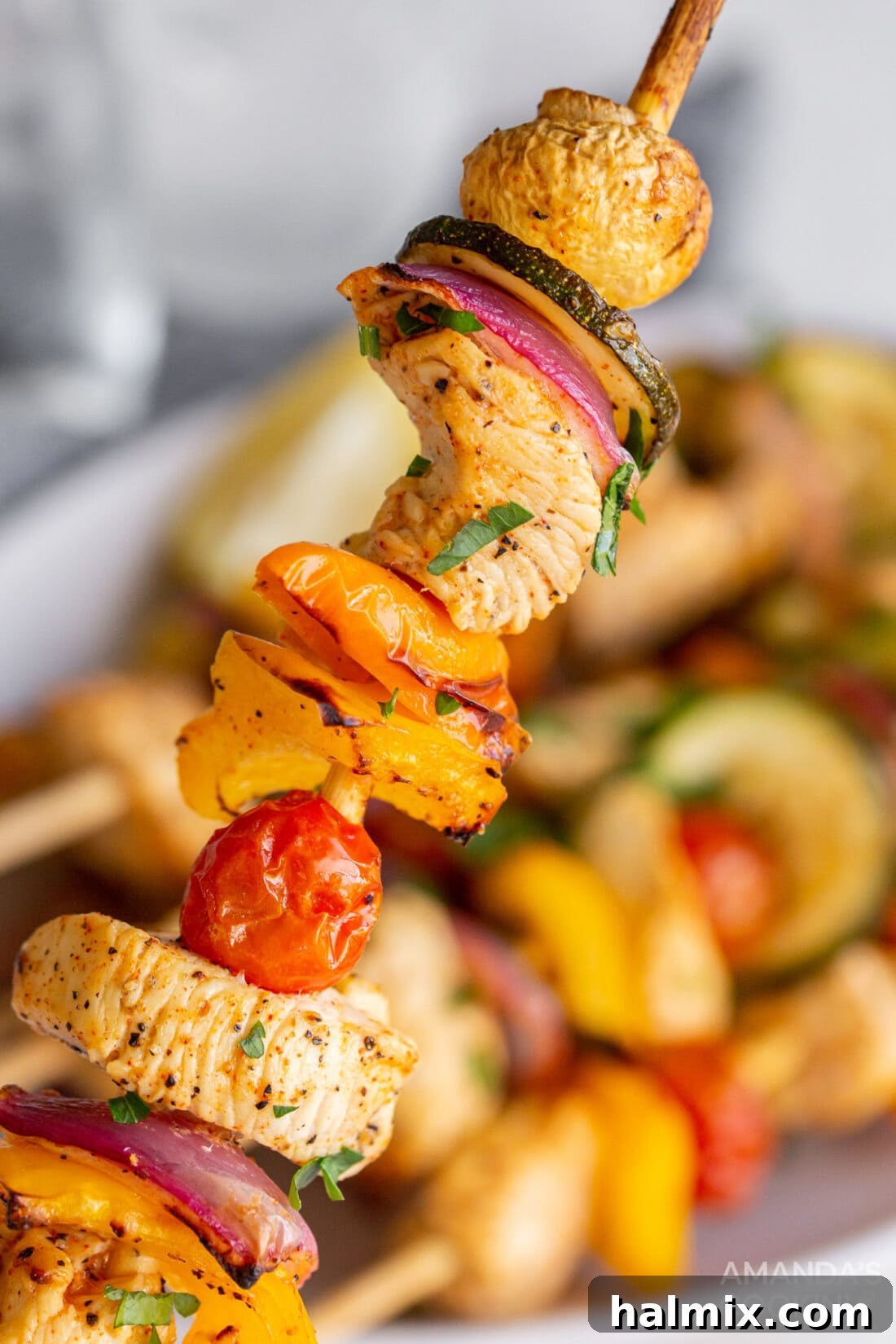 single Air Fryer Chicken Kabob