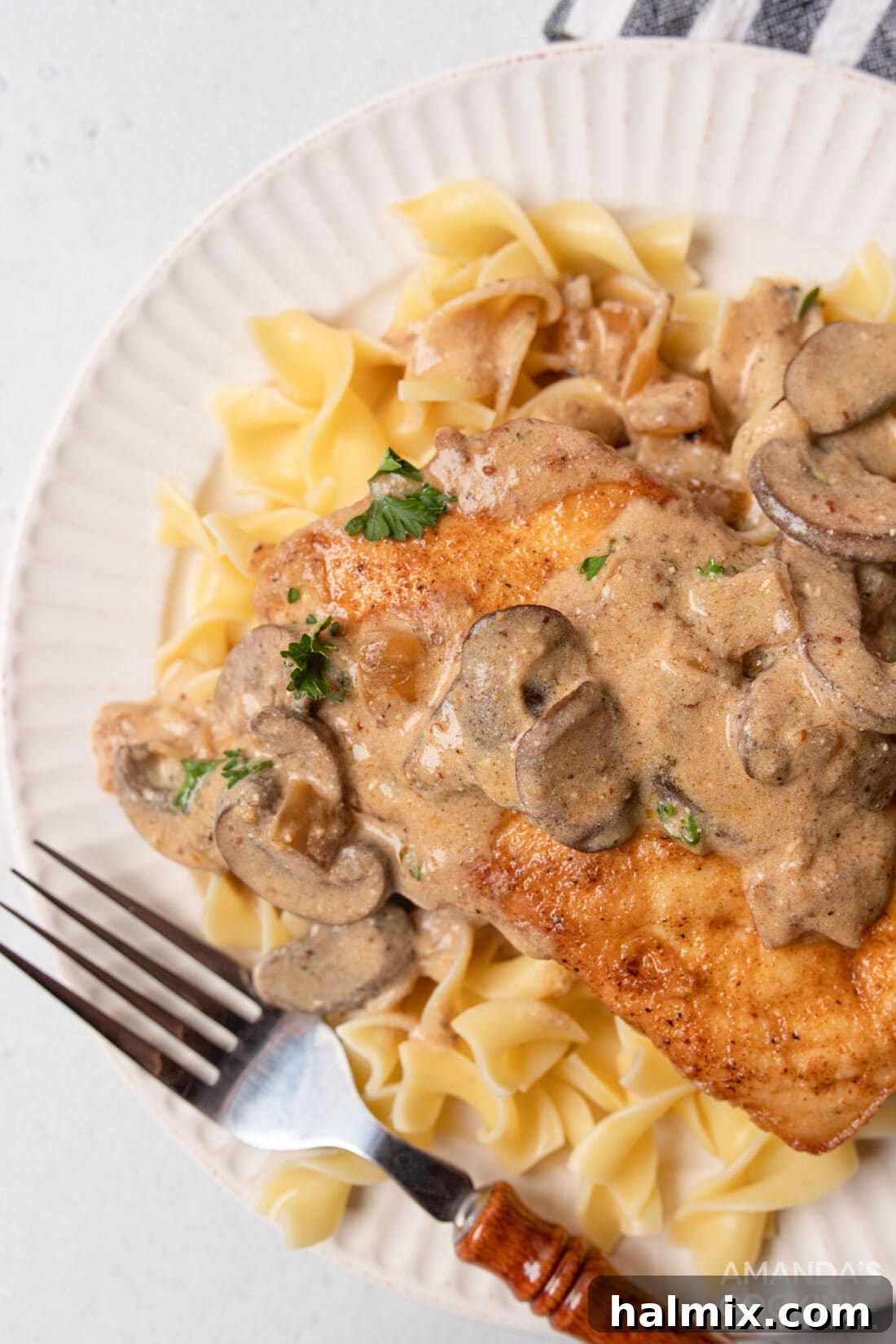 Chicken Stroganoff over noodles, showcasing tender chicken, creamy sauce, and egg noodles