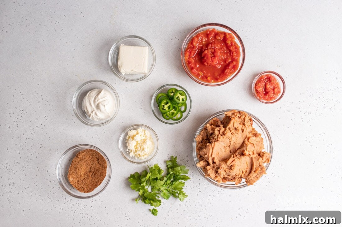 ingredients for Bean Dip