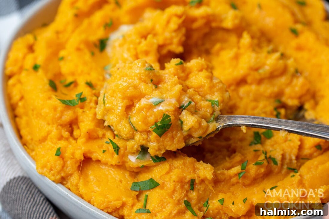 spoon of Mashed Sweet Potatoes
