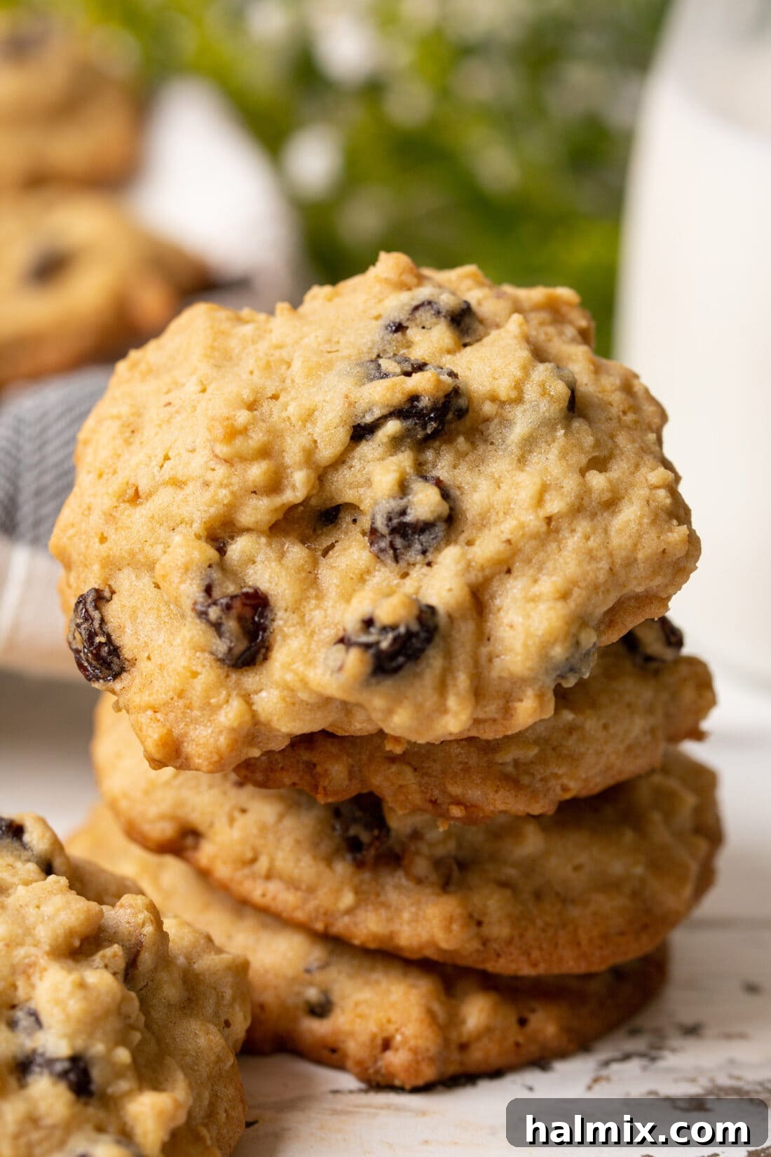 Spiced Oatmeal Raisin Delights 2 stack of homemade oatmeal raisin cookies