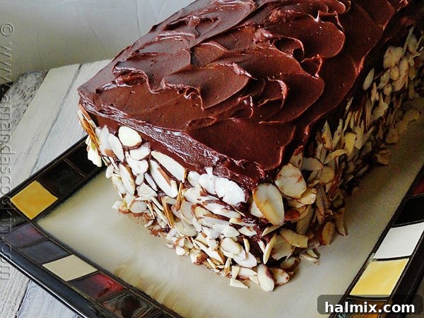 Chocolate cake garnished with perfectly toasted almond slices, ready to be served.
