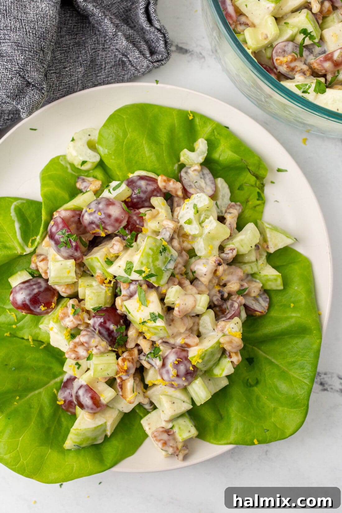 A vibrant Waldorf Salad on a clean white plate, showcasing crunchy apples, plump grapes, and walnuts in a creamy dressing.