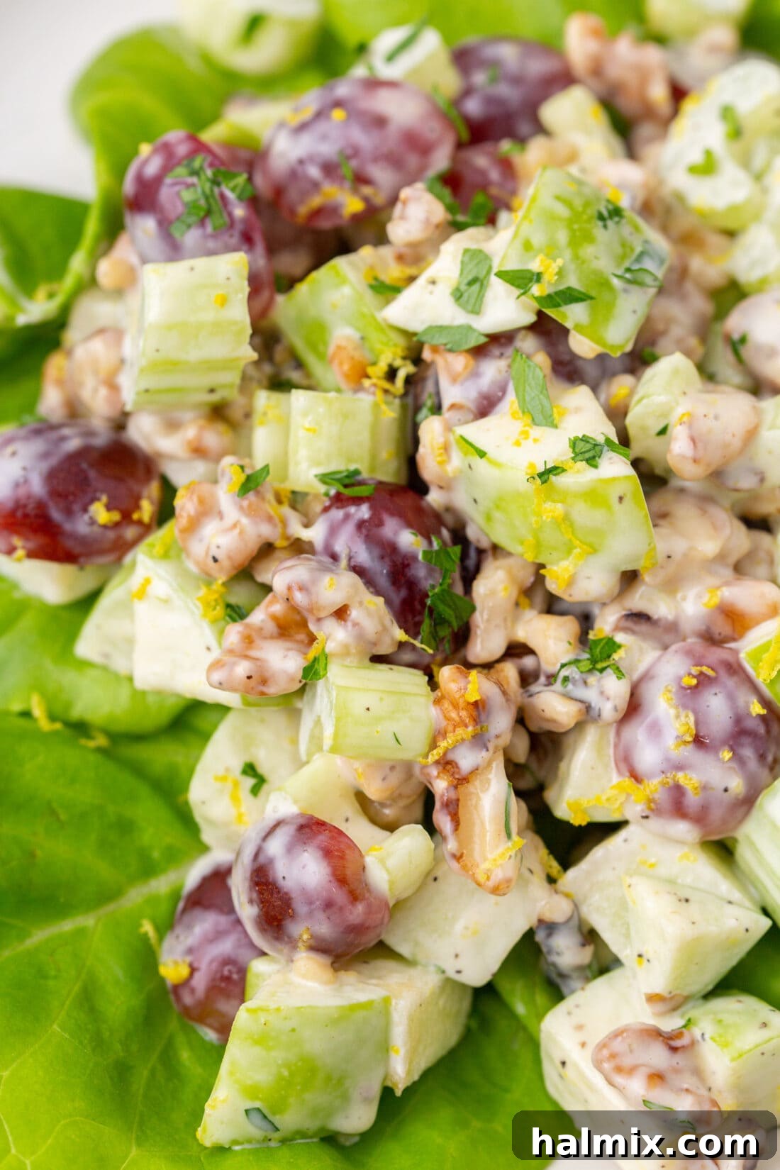 A close-up shot of the vibrant Waldorf Salad, highlighting its fresh ingredients and creamy texture.