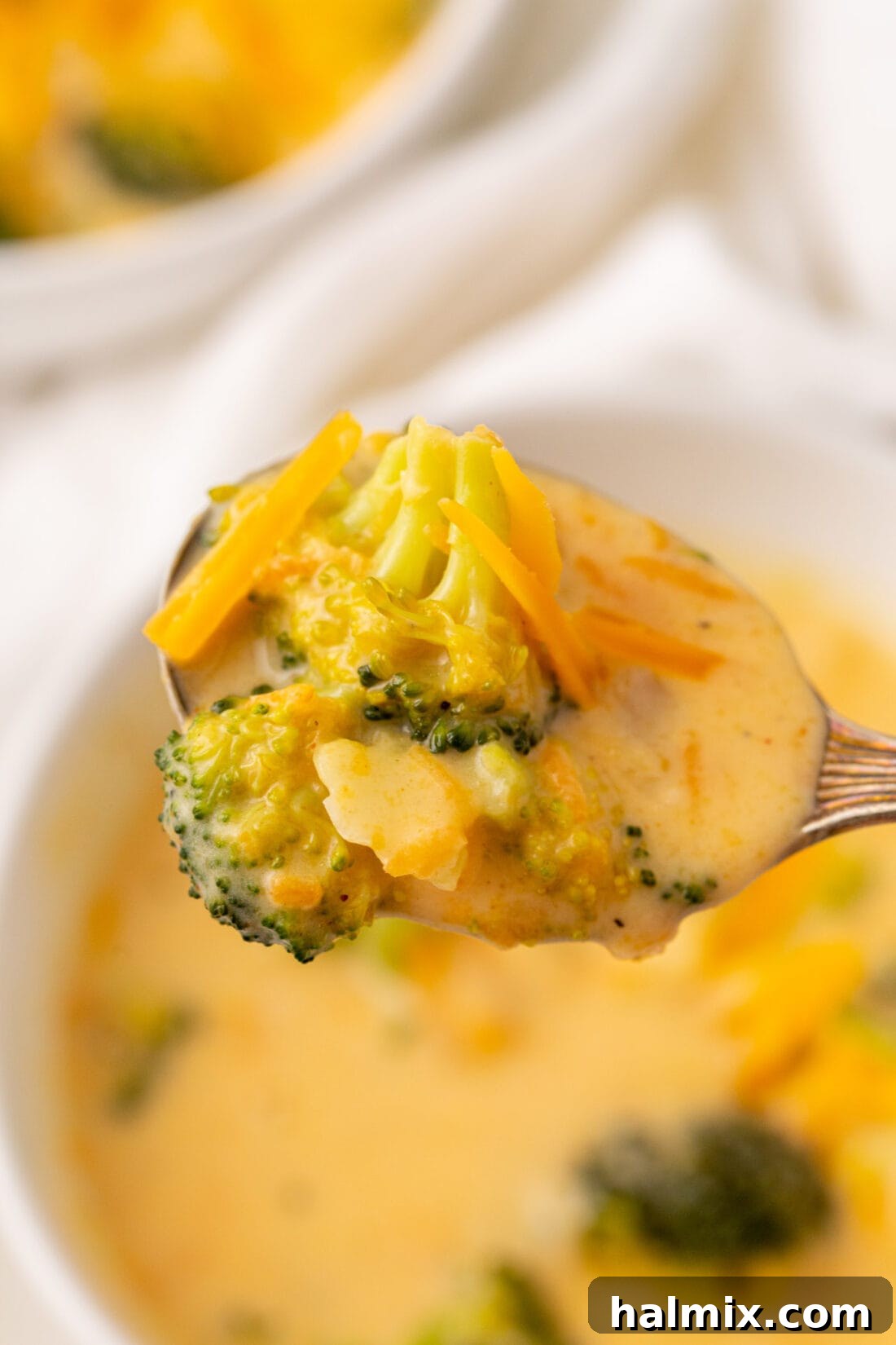spoon of Broccoli Cheese Soup
