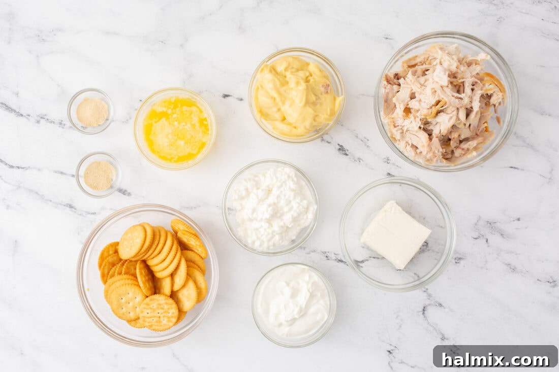 Ingredients laid out for Million Dollar Chicken Casserole
